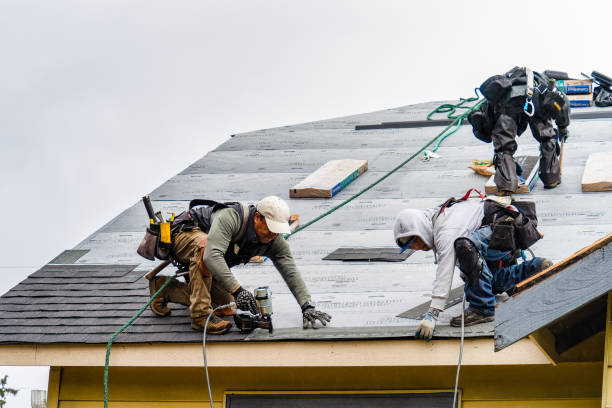 Professional Flat Roof Repair technician working in Diamond, IL